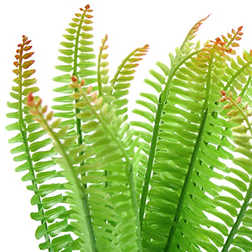 Ruilogod Kunststoff Gras Pflanze Terrarium Aquarium Reptilien Behälter Landschaft Dekoration für Eidechsen Spinnen Ruilogod Kunststoff Gras Pflanze Terrarium Aquarium Reptilien Behälter Landschaft Dekoration für Eidechsen Spinnen von Ruilogod