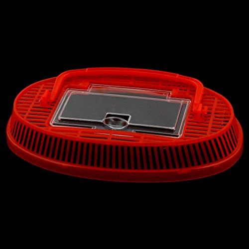 Ruilogod Kunststoff-Oval-Form-Aquarium Betta-Fischtank-Haustier-Feedbox rot Ruilogod Kunststoff-Oval-Form-Aquarium Betta-Fischtank-Haustier-Feedbox rot von Ruilogod