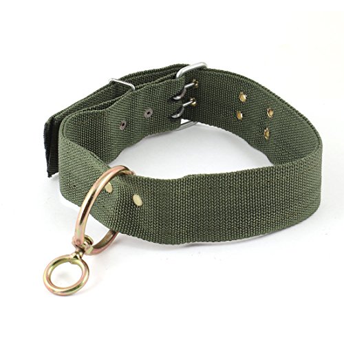Ruilogod Metall Doppel Pin-Wölbungs-Haustier-Hundehalsband 60 cm Länge Armee-Grün Ruilogod Metall Doppel Pin-Wölbungs-Haustier-Hundehalsband 60 cm Länge Armee-Grün von Ruilogod