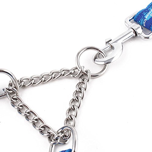 Ruilogod Nylon Haustier Hund Pirat gedruckt Kragen Training Z107 Traktion Seil Leine Strap Blau Ruilogod Nylon Haustier Hund Pirat gedruckt Kragen Training Z107 Traktion Seil Leine Strap Blau von Ruilogod