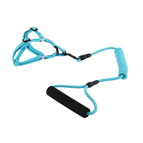 Ruilogod Nylon Haustier Hund Reise Picknick verstellbare Leine Seilschnur Brustgurt (Himmelblau, Xs) von Ruilogod