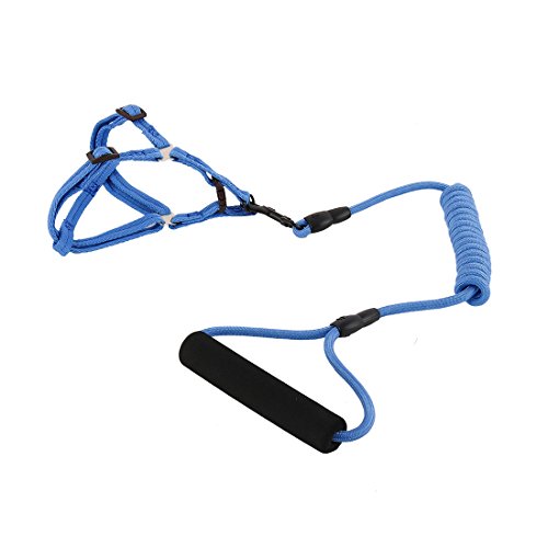 Ruilogod Nylon Haustier Hund Reisen Picknick Verstellbare Leine Seilkabel Brustgurt (dunkelblau, xs) von Ruilogod