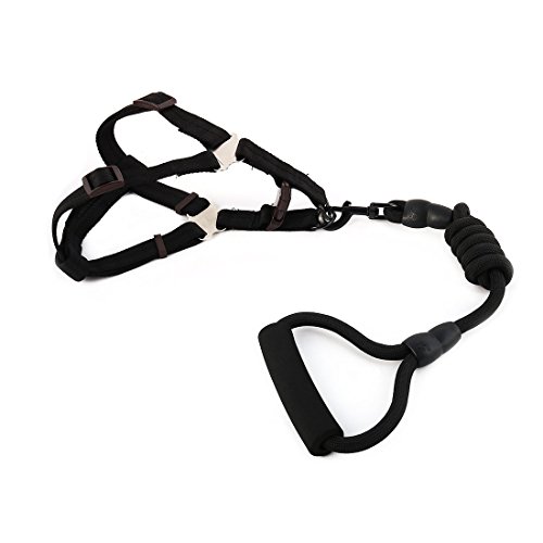 Ruilogod Nylon Haustier Hund Reisen Picknick Verstellbare Leine Seilschnur Brustgurt (Schwarz, L) von Ruilogod