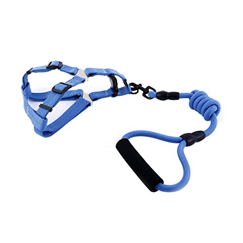 Ruilogod Nylon Haustier Hund Reisen Picknick Verstellbare Leine Seilschnur Brustgurt (dunkelblau, l) von Ruilogod
