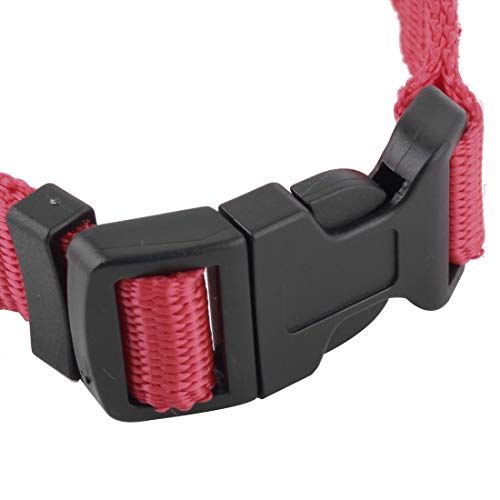 Ruilogod Nylon Haustier Hund Welpe Einstellbare Safty Schnalle Neckrassenbandband Rot Ruilogod Nylon Haustier Hund Welpe Einstellbare Safty Schnalle Neckrassenbandband Rot von Ruilogod