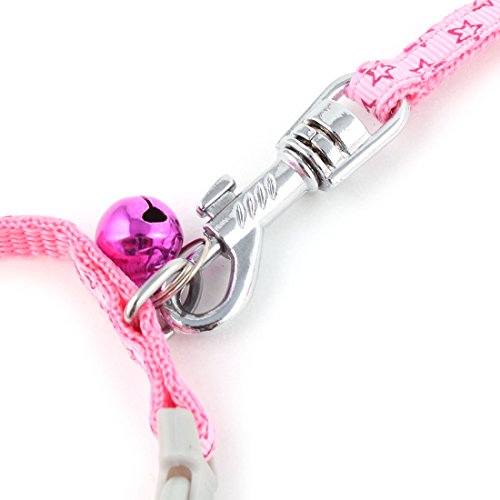 Ruilogod Nylon Haustier Hund Welpe Safty Walking Training Einstellbare Leine Gurt Rosa Ruilogod Nylon Haustier Hund Welpe Safty Walking Training Einstellbare Leine Gurt Rosa von Ruilogod