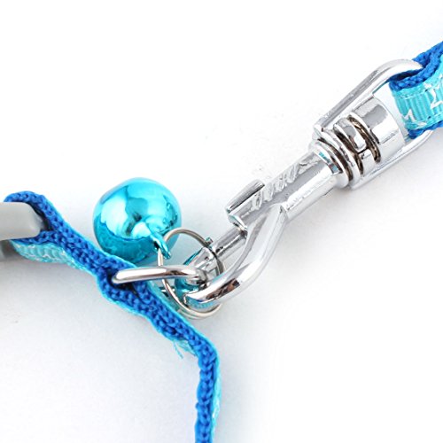 Ruilogod Nylon Haustier Hund Welpen Stern Muster Safty Walking Training Einstellbare Leine Blau Ruilogod Nylon Haustier Hund Welpen Stern Muster Safty Walking Training Einstellbare Leine Blau von Ruilogod