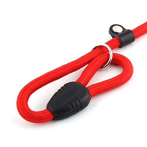 Ruilogod Nylon-Haustierhund-runder verdrehter Seil-Nacken-Leinen-Kragen 0,3-Zoll-Durchmesser rot Ruilogod Nylon-Haustierhund-runder verdrehter Seil-Nacken-Leinen-Kragen 0,3-Zoll-Durchmesser rot von Ruilogod