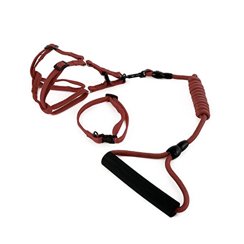 Ruilogod Nylon Hund Outdoor Training Walking Einstellbare Leine Seil Kabelbaum Kragen (, S) von Ruilogod