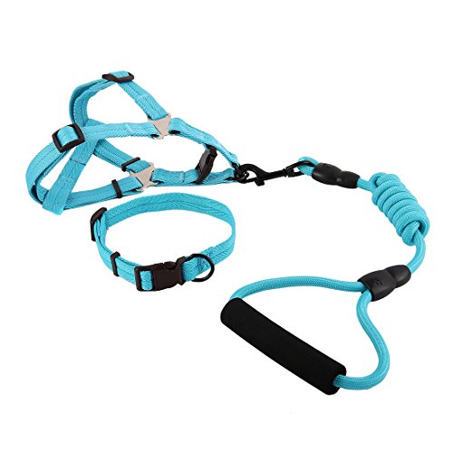Ruilogod Nylon Hund Outdoor Training Walking Einstellbare Leine Seil Kabelbaum Kragen (Himmelblau, L) von Ruilogod