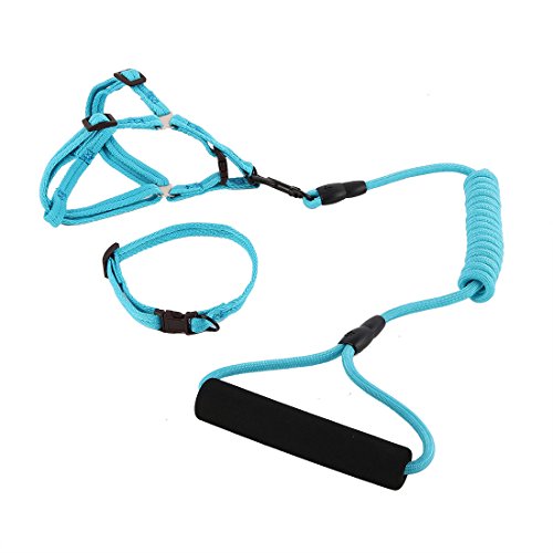 Ruilogod Nylon Hund Outdoor Training Walking Einstellbare Leine Seil Kabelbaum Kragen (Himmelblau, s) von Ruilogod