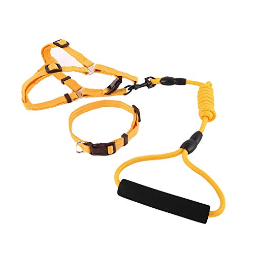 Ruilogod Nylon Hund Outdoor Training Walking Einstellbare Leine Seilbaumkragen (Gelb, M) von Ruilogod
