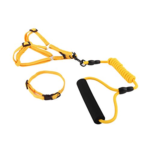 Ruilogod Nylon Hund Outdoor Training Walking Einstellbare Leine Seilbaumkragen (Gelb, S) von Ruilogod