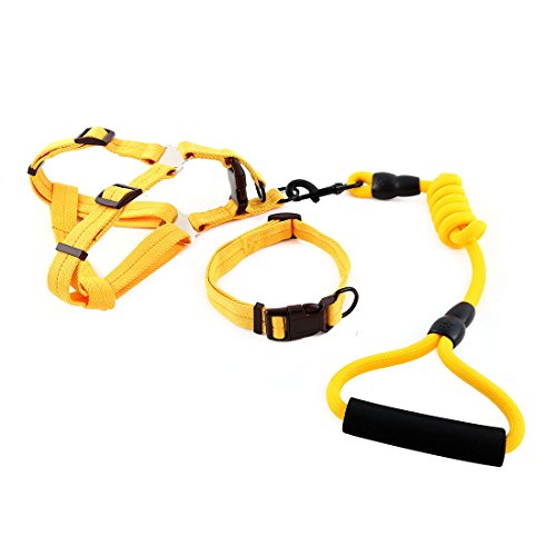Ruilogod Nylon Hund Outdoor Training Walking Einstellbare Leine Seilbaumkragen (Gelb, XL) von Ruilogod
