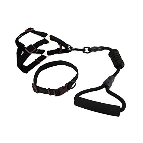 Ruilogod Nylon Hund Outdoor Training Walking Einstellbare Leine Seilbaumkragen (Schwarz, L) von Ruilogod