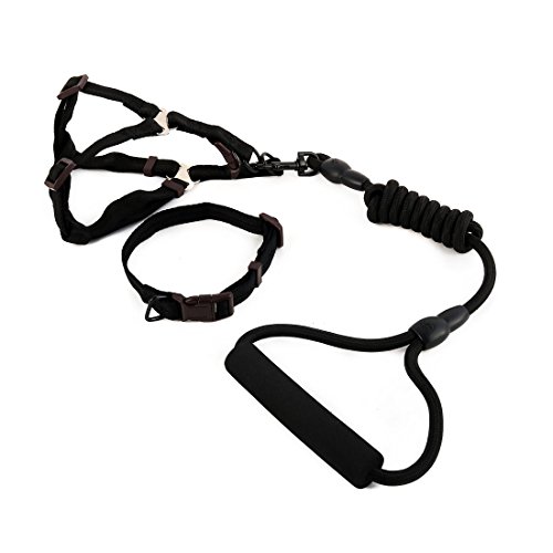 Ruilogod Nylon Hund Outdoor Training Walking Einstellbare Leine Seilbaumkragen (Schwarz, M) von Ruilogod