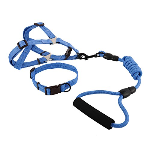 Ruilogod Nylon Hund Outdoor Training Walking Einstellbare Leine Seilbaumkragen (dunkelblau, l) von Ruilogod