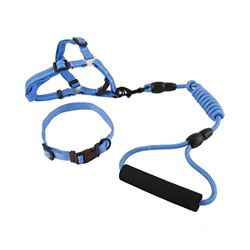 Ruilogod Nylon Hund Outdoor Training Walking Einstellbare Leine Seilbaumkragen (dunkelblau, m) von Ruilogod