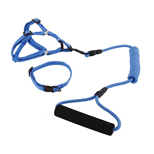 Ruilogod Nylon Hund Outdoor Training Walking Einstellbare Leine Seilbaumkragen (dunkelblau, s) von Ruilogod