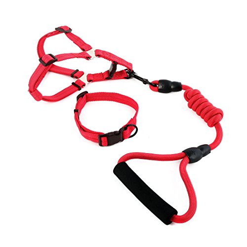 Ruilogod Nylon Hund Outdoor Training Walking Einstellbare Leine Seilbaumkragen (rot, l) von Ruilogod