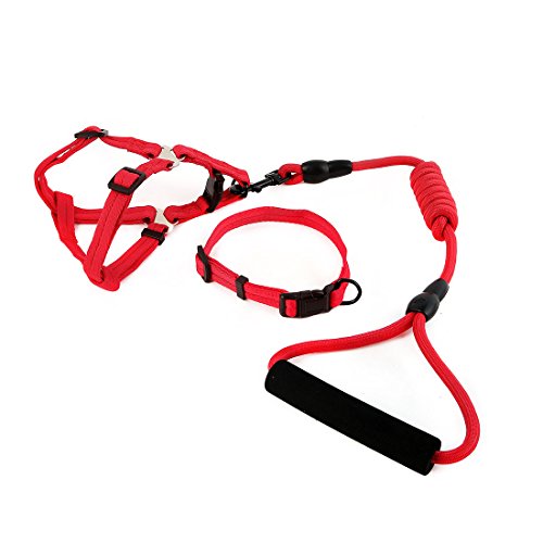 Ruilogod Nylon Hund Outdoor Training Walking Einstellbare Leine Seilbaumkragen (rot, m) von Ruilogod