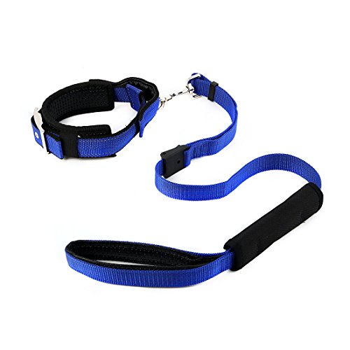 Ruilogod Nylon Hund Outdoor Walking Einstellbare Griffel Leine Seil Pet Hals Gürtelkragen (Blau, S) von Ruilogod