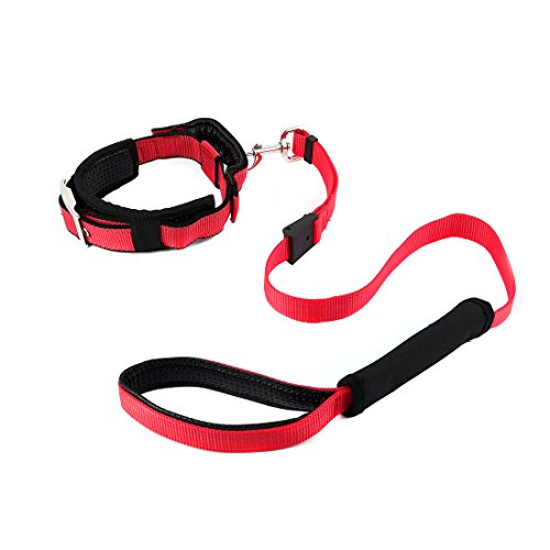 Ruilogod Nylon Hund Outdoor Walking Einstellbare Griffel Leine Seil Pet Hals Gürtelkragen (rot, m) von Ruilogod