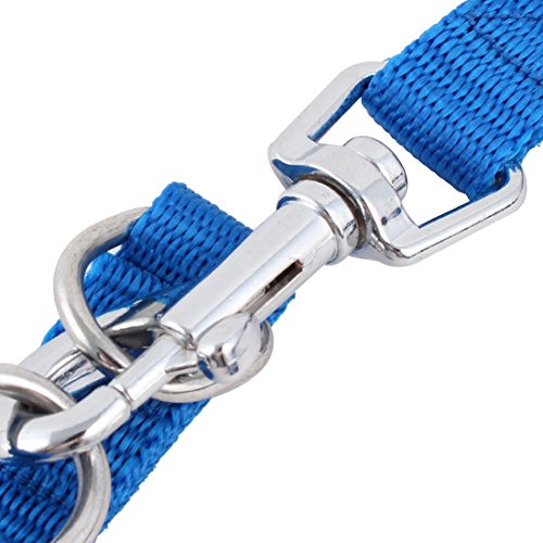 Ruilogod Nylon-Hundekatze-Haustier einstellbarer Halter-Zug-Zug-Traktionskragen-Leine-Seil Ruilogod Nylon-Hundekatze-Haustier einstellbarer Halter-Zug-Zug-Traktionskragen-Leine-Seil von Ruilogod