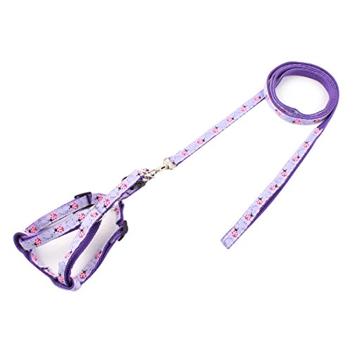 Ruilogod Nylon-Seil-Marienkäfer-Druck-Hunde-verstellbare Brust-Hals-Kabelbaum-Leine 1 cm-Breite Ruilogod Nylon-Seil-Marienkäfer-Druck-Hunde-verstellbare Brust-Hals-Kabelbaum-Leine 1 cm-Breite von Ruilogod
