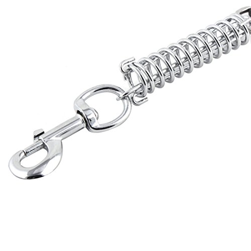 Ruilogod Nylon Sport Gürtel Handschutz Frühling Pet Z107 Hundeleinen Collar 21,7 Inch Red von Ruilogod