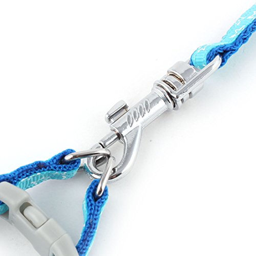 Ruilogod Nylon-Welpen-Hund Sternenry-Muster-Schritt-in-Harness-Z107-Seil-Trainingsleine blau Ruilogod Nylon-Welpen-Hund Sternenry-Muster-Schritt-in-Harness-Z107-Seil-Trainingsleine blau von Ruilogod
