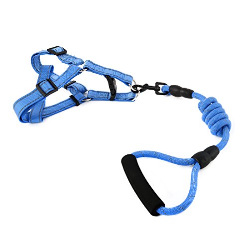 Ruilogod Nylon-gehender Hund Leine und Harness Adjustable Reflective Seil Haustier Gürtel XL Blau Ruilogod Nylon-gehender Hund Leine und Harness Adjustable Reflective Seil Haustier Gürtel XL Blau von Ruilogod