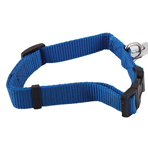 Ruilogod Nylon laufender flacher Gürtel Klassischer Stil einstellbarer Haustierkragen Hundeleinen dunkelblau Ruilogod Nylon laufender flacher Gürtel Klassischer Stil einstellbarer Haustierkragen Hundeleinen dunkelblau von Ruilogod