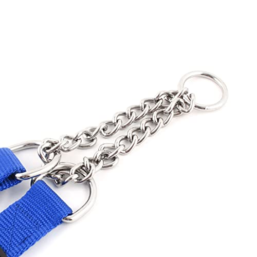 Ruilogod Nylonseil Hund im Freien Adjustable Zugseil Halskettenleine Blau Ruilogod Nylonseil Hund im Freien Adjustable Zugseil Halskettenleine Blau von Ruilogod