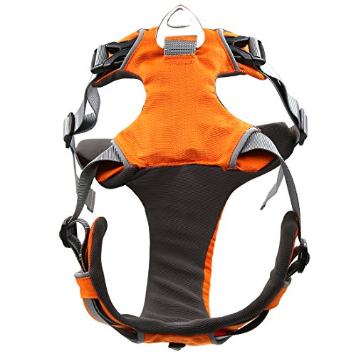 Ruilogod Orange große No-Pull-Hunde-Kabelbaum-Frontbereich einstellbar Weste Hundetrainings-Kabelbaum Ruilogod Orange große No-Pull-Hunde-Kabelbaum-Frontbereich einstellbar Weste Hundetrainings-Kabelbaum von Ruilogod