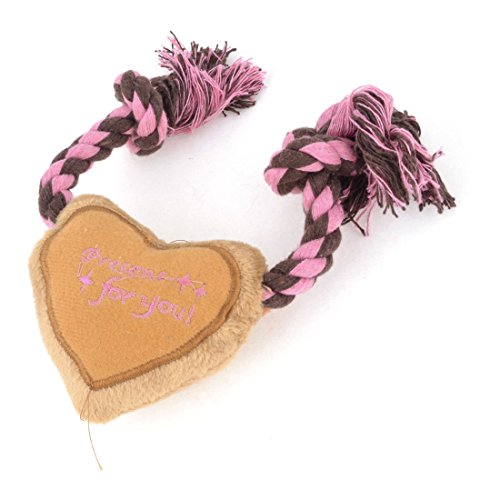 Ruilogod Pet Heart Shaped Dekor geflochtenen Seil Chew quietschend Spielzeug Rosa von Ruilogod