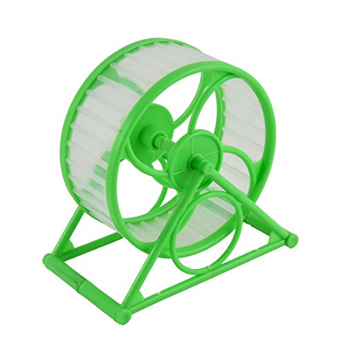 Ruilogod Pet Running Sports Training Hamster Maus Mäuse Rad Spielzeug Grün Ruilogod Pet Running Sports Training Hamster Maus Mäuse Rad Spielzeug Grün von Ruilogod