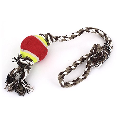 Ruilogod Pet geflochtenen Seil Tennisball Grinding saubere Spielen Chew Spielzeug Ruilogod Pet geflochtenen Seil Tennisball Grinding saubere Spielen Chew Spielzeug von Ruilogod