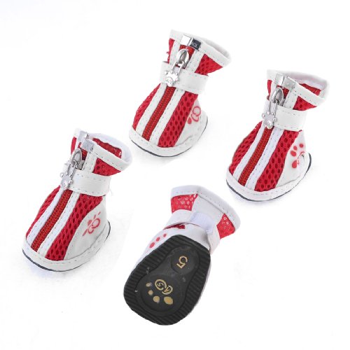 Ruilogod Pommerschen Hund Nonslip Sole Meshy Schuhe Schuhe Rot Weiß 2 Paar L Ruilogod Pommerschen Hund Nonslip Sole Meshy Schuhe Schuhe Rot Weiß 2 Paar L von Ruilogod