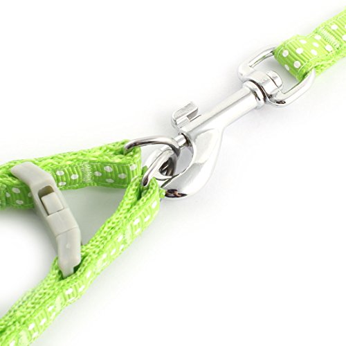 Ruilogod Punkte Muster Nylon Hund Outdoor Walking Einstellbar Brustgurt Seil Kabelbaum Leine Grün Ruilogod Punkte Muster Nylon Hund Outdoor Walking Einstellbar Brustgurt Seil Kabelbaum Leine Grün von Ruilogod
