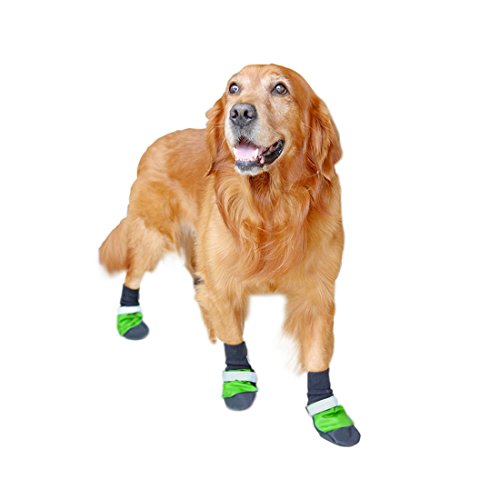 Ruilogod Reflektierende Breathable Ineinander greifen Haustier Hund Stiefel Anti-Rutsch-Water Resistant Hundeschuhe Paw-Schutz-Grün M 4 Stück Ruilogod Reflektierende Breathable Ineinander greifen Haustier Hund Stiefel Anti-Rutsch-Water Resistant Hundeschuhe Paw-Schutz-Grün M 4 Stück von Ruilogod