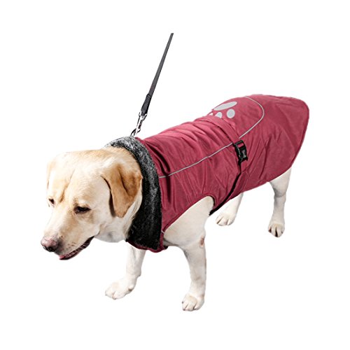 Ruilogod Reflektierende Wasserdichte Hundeweste Jacke kleidet weiche warme Fleecefutter Hundemantel Professionelle Winter-Hundesportbekleidung Blau Rot M Ruilogod Reflektierende Wasserdichte Hundeweste Jacke kleidet weiche warme Fleecefutter Hundemantel Professionelle Winter-Hundesportbekleidung Blau Rot M von Ruilogod