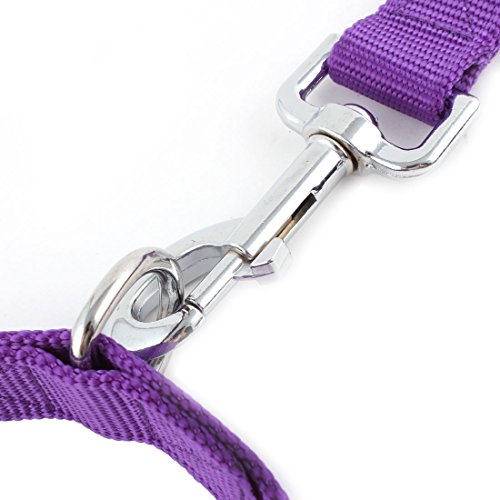 Ruilogod Schaumhund Haustier Welpe Schwenkhaken Gehende Z107 Training Seilleine Lila W Hals Kragen Ruilogod Schaumhund Haustier Welpe Schwenkhaken Gehende Z107 Training Seilleine Lila W Hals Kragen von Ruilogod