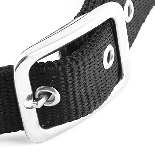 Ruilogod Schaumhund Haustier Welpenhalskragen Gürtel Walking Training Z107 Seil Leine Schwarz Ruilogod Schaumhund Haustier Welpenhalskragen Gürtel Walking Training Z107 Seil Leine Schwarz von Ruilogod