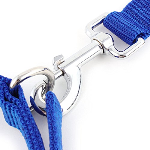 Ruilogod Schaumhund Pet Welpenhalskragen Gürtel Walking Training Z107 Seil Leine Blau Ruilogod Schaumhund Pet Welpenhalskragen Gürtel Walking Training Z107 Seil Leine Blau von Ruilogod