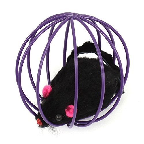 Ruilogod Schwarz Falsche Maus Ratte In Lila Metall-Kugel-Form Käfig Pet Spielen Spielzeug Ruilogod Schwarz Falsche Maus Ratte In Lila Metall-Kugel-Form Käfig Pet Spielen Spielzeug von Ruilogod