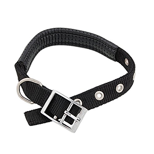 Ruilogod Schwarzes Leder gepolstertes verstellbares Nylon-Haustierhundkragen-Medium Ruilogod Schwarzes Leder gepolstertes verstellbares Nylon-Haustierhundkragen-Medium von Ruilogod