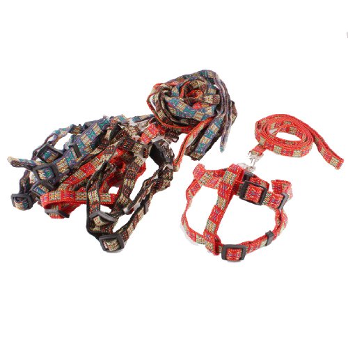 Ruilogod Sortierte Farbe Geflochtene Strap Doggie Hundekragen Halfter Harness Leine 6 Stück Ruilogod Sortierte Farbe Geflochtene Strap Doggie Hundekragen Halfter Harness Leine 6 Stück von Ruilogod