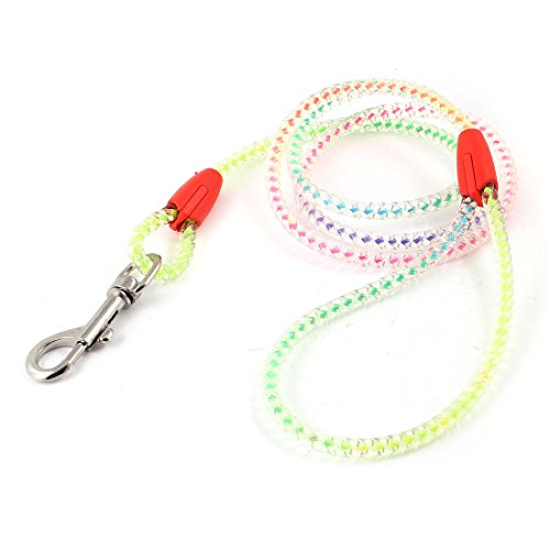 Ruilogod Sortierte Farben Twisted Seil Pet Dog Yorkie Ziehen Traktionsleine Ruilogod Sortierte Farben Twisted Seil Pet Dog Yorkie Ziehen Traktionsleine von Ruilogod