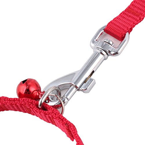 Ruilogod Welpen Hund PET 3D Rose Muster Glocke Detail Walking Training Z107 Seil Kragen Leine Rot Ruilogod Welpen Hund PET 3D Rose Muster Glocke Detail Walking Training Z107 Seil Kragen Leine Rot von Ruilogod